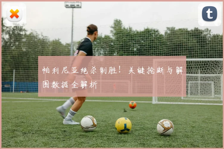 帕利尼亚绝杀制胜！关键抢断与解围数据全解析